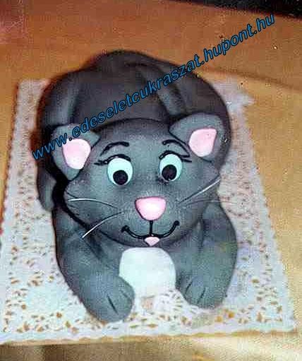 31-cica_torta.jpg